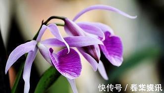 一晦一明