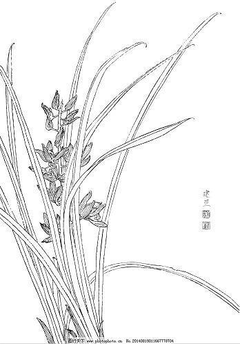 铁心石肠