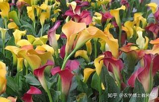 无奈的句子说说心情