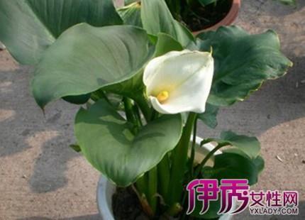 三等九格