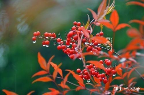 搔首弄姿