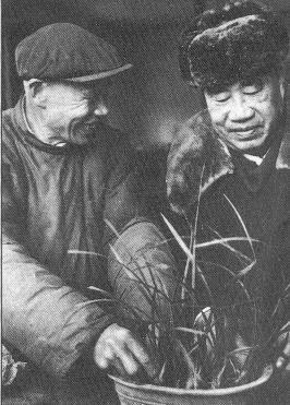 独出心裁