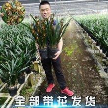 受伤后的心情短语 经历了受伤的心情说说