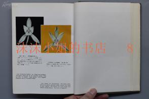 奇货可居