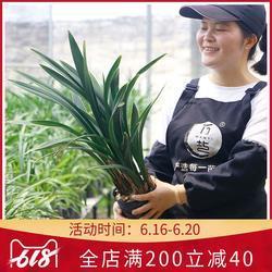 熊经鸟引