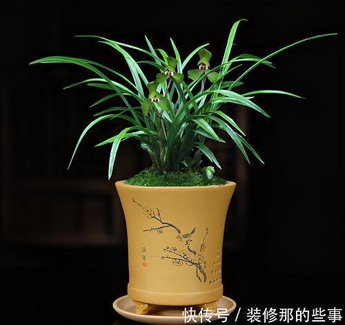 掂斤抹两