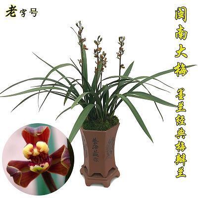 人生感悟致自己朋友圈 适合发朋友圈的人生感悟句子(精选75句)
