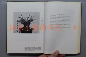 天理难容