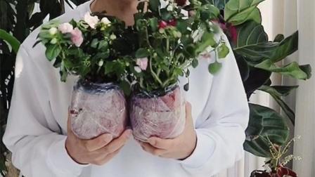 攻玉以石