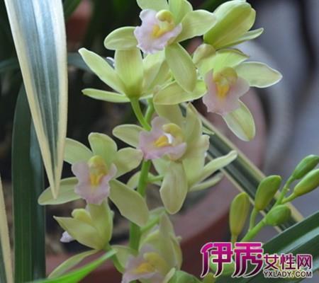 韬戈偃武