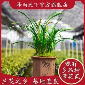 温柔带点丧的神仙句子大全