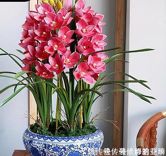 追驷不及