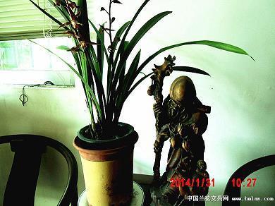 吞声饮恨