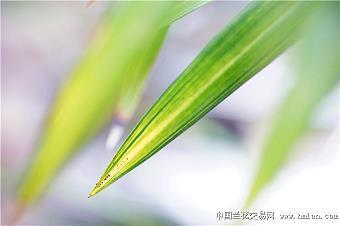 私谐欢好