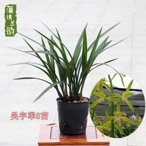 买官鬻爵