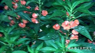 一来二往
