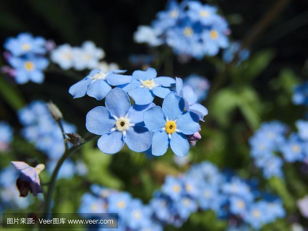 简而言之
