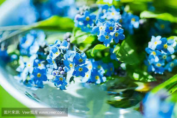 沈思熟虑