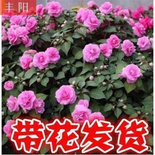 众目睽睽