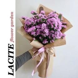 断梗浮萍