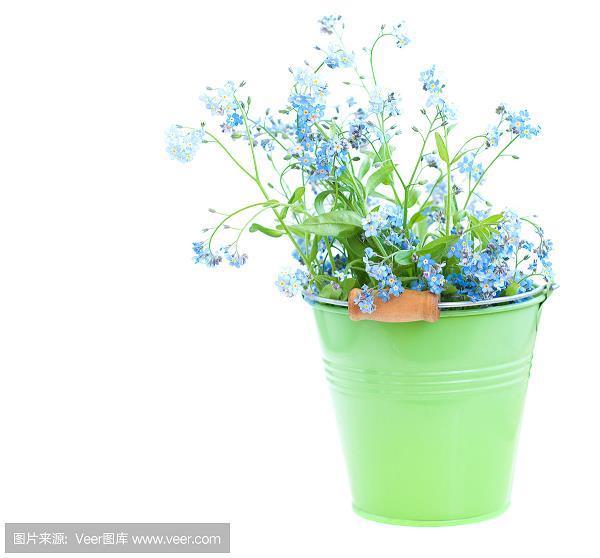 黄河水清