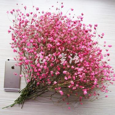 逢时遇节