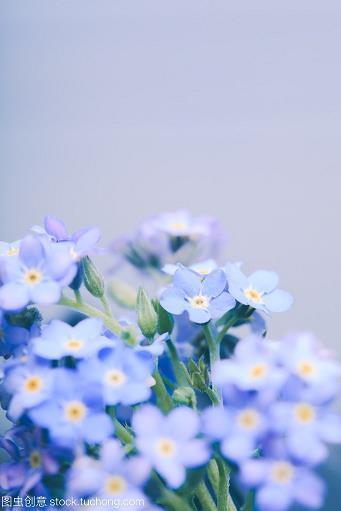 津津有味