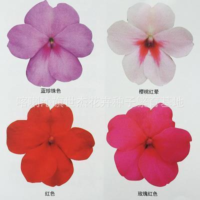 冥昭瞢暗