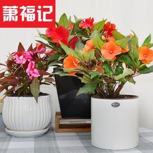 曲终奏雅