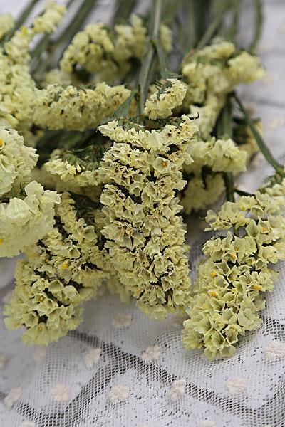 高睨大谈