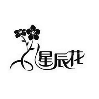 后来之秀