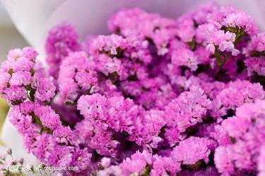 有关最新教师节祝福语大全