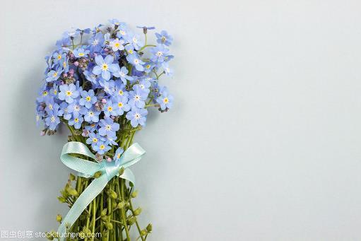 八纮同轨