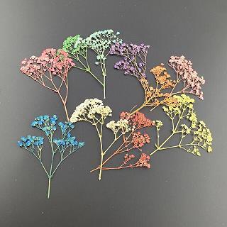 郁郁葱葱