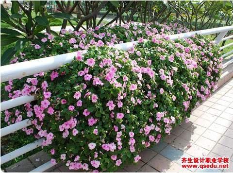 洋洋得意