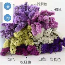 窝窝囊囊