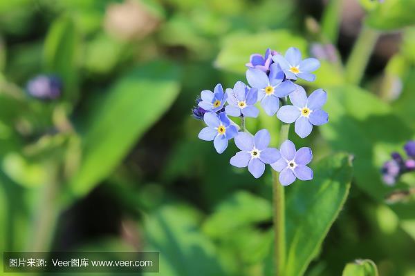 敬而远之
