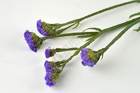 驰高骛远