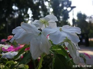 失惊打怪
