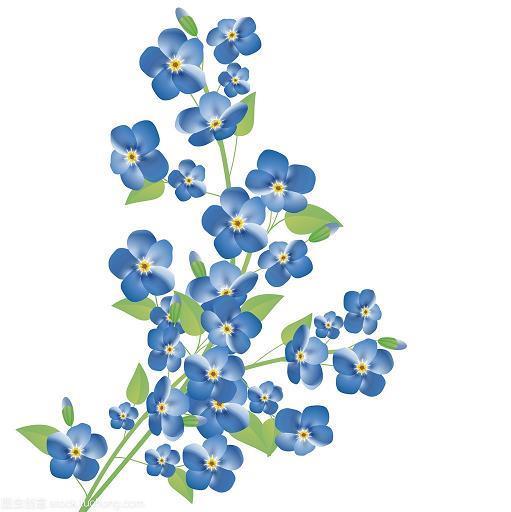 玉貌花容