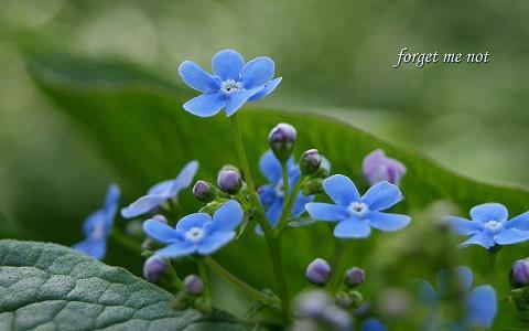 杞人忧天