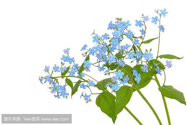 遗风馀习