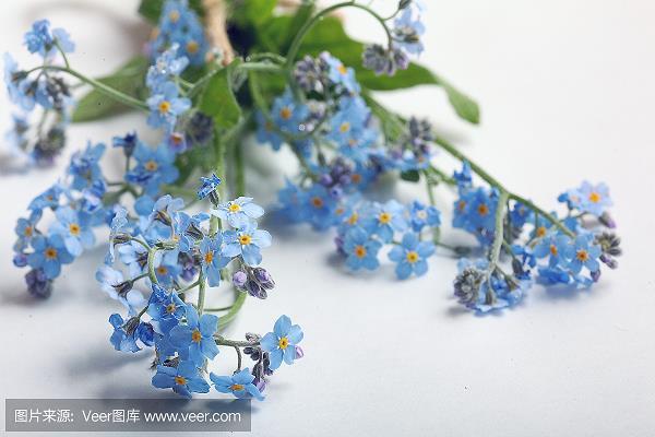青眼相加
