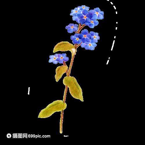 掷果潘安