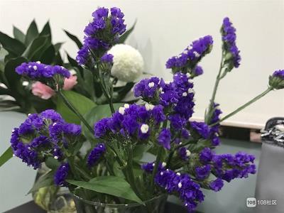 直截了当