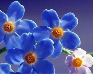 沿才受职