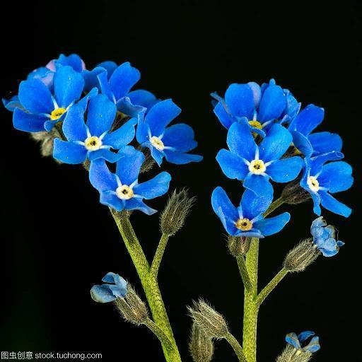 经典励志的个性签名 谁没有耐心谁就没有智慧