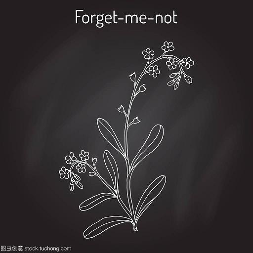 有过之而无不及