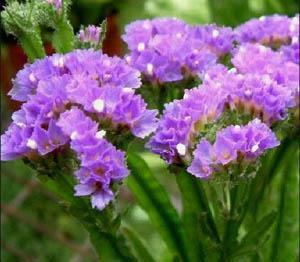 五四青年节励志祝福语大全