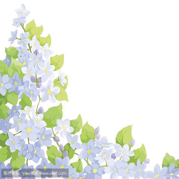 丰年玉荒年谷